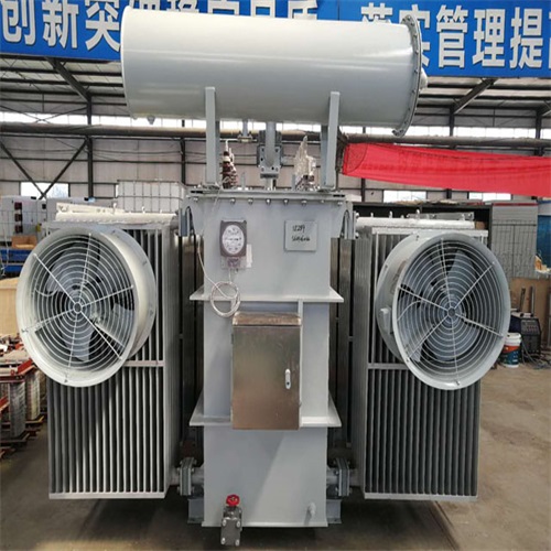 丁青10KV油浸式变压器